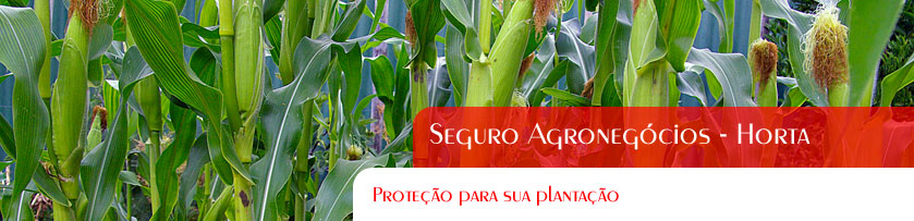 Agronegócios Horta